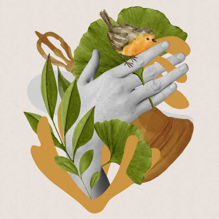 Illustration of hands and leaves in a collage style.