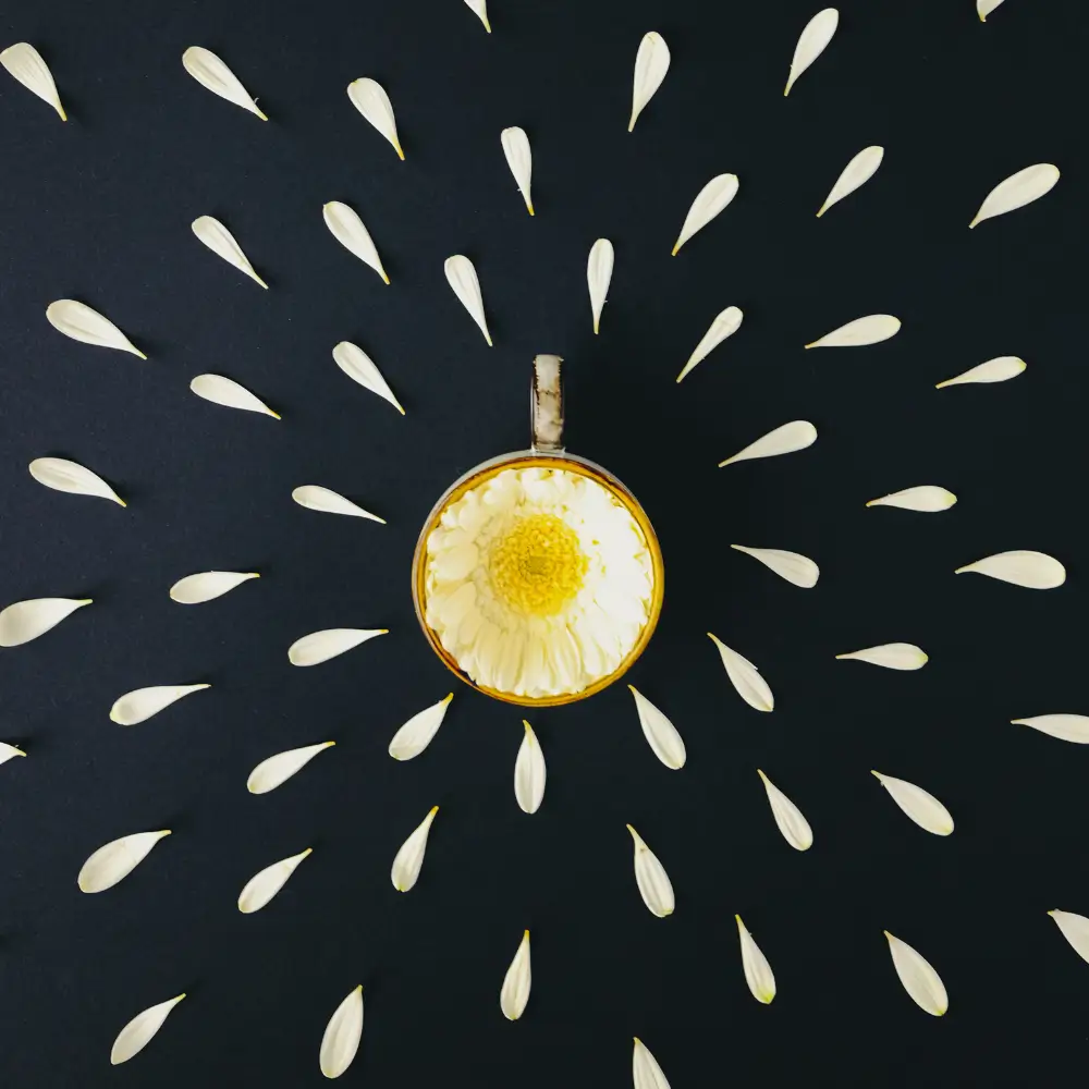 Stylized yellow flower on a dark background with radiating petals.