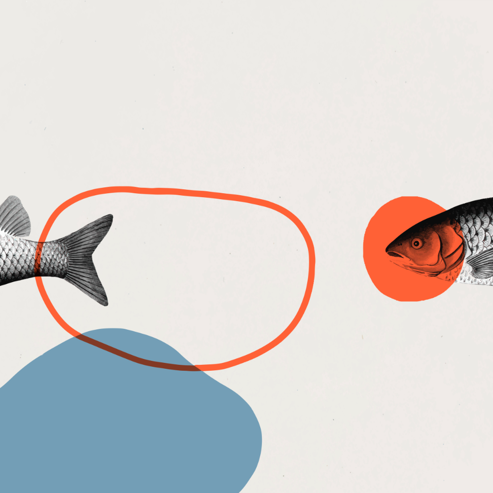 Abstract illustration with red lines, a fish, and blue and white space.